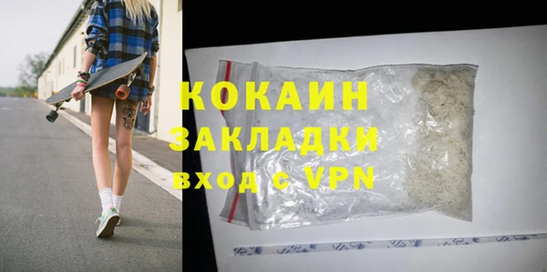 индика Алзамай
