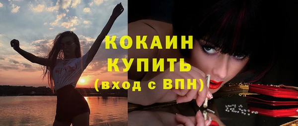 индика Алзамай