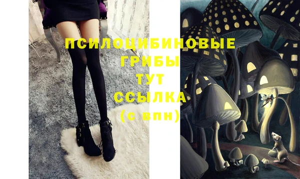 индика Алзамай
