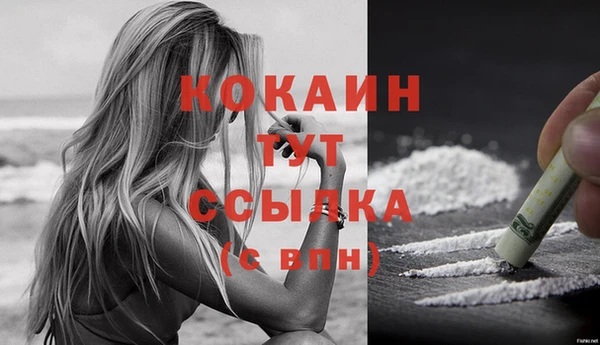 твердый Майский
