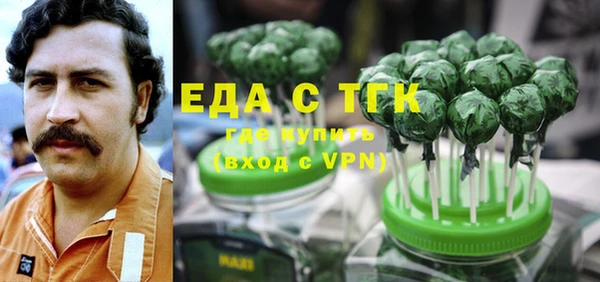индика Алзамай